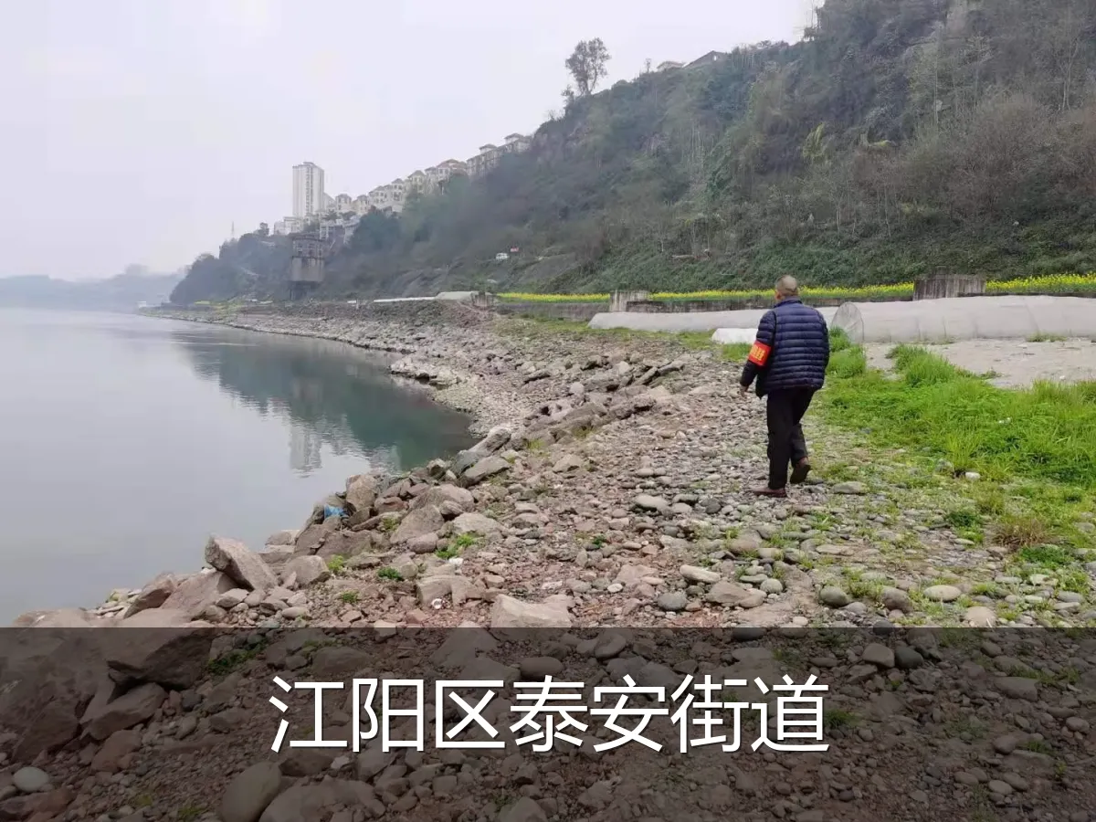 江阳区泰安街道