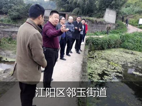 江阳区邻玉街道